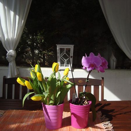 Apartment Villa Holiday II PUY Eksteriør bilde